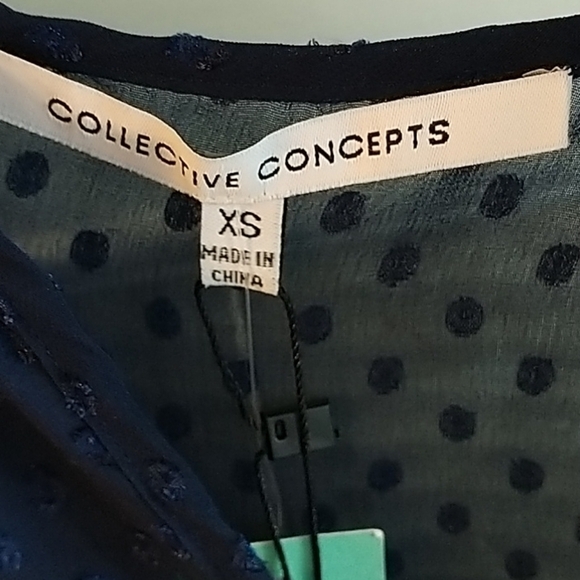 Stitch Fix Navy Damon Swiss Dot Shear Blouse XS - Picture 3 of 12